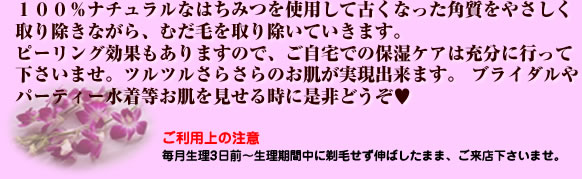 海藻エキスと精油を使用した、カッピングによるスリミング マッサージコースです。 水分排泄・脂肪燃焼を促す効果があります。